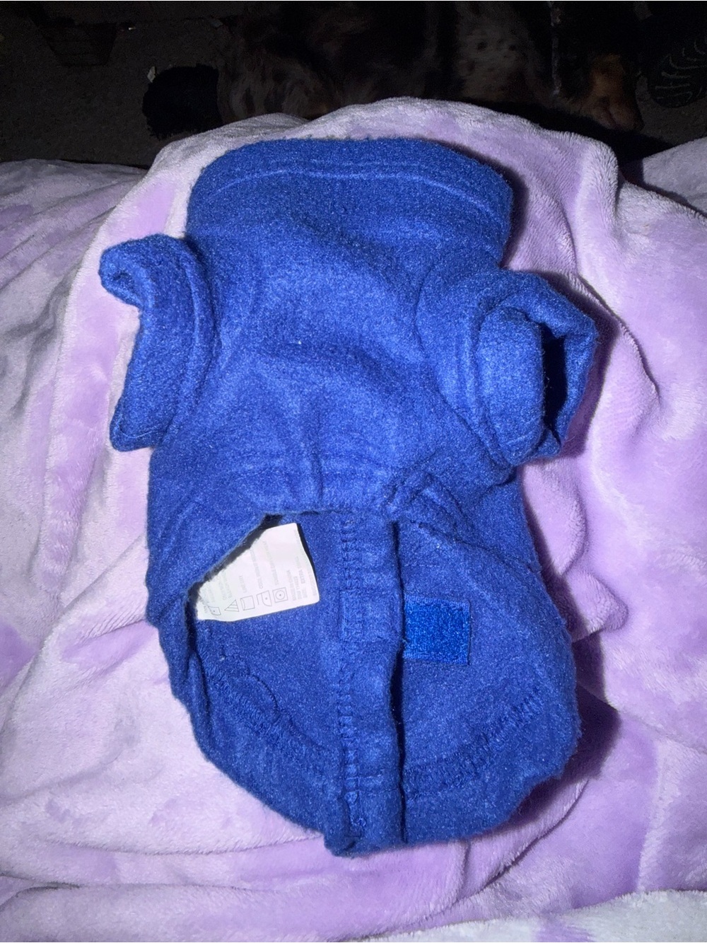 Small dog Snuggie